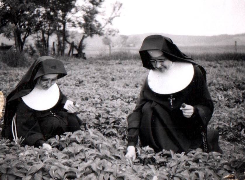 Sisters in the garden